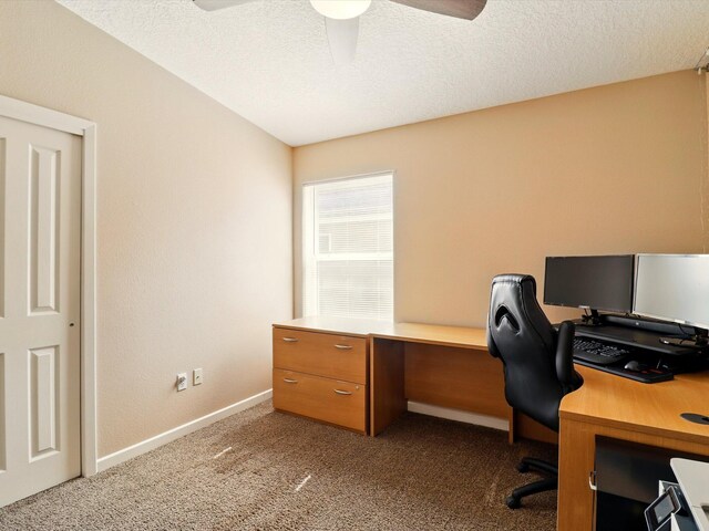 6208 Calle Vizcaya NW, Albuquerque, NM 87114 - photo 25