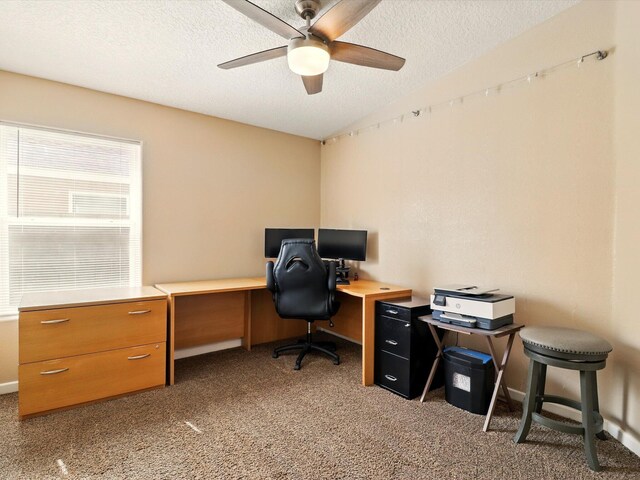 6208 Calle Vizcaya NW, Albuquerque, NM 87114 - photo 24