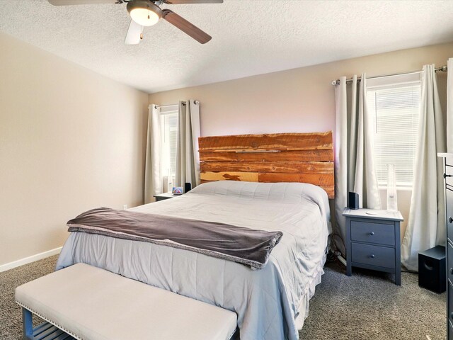 6208 Calle Vizcaya NW, Albuquerque, NM 87114 - photo 17