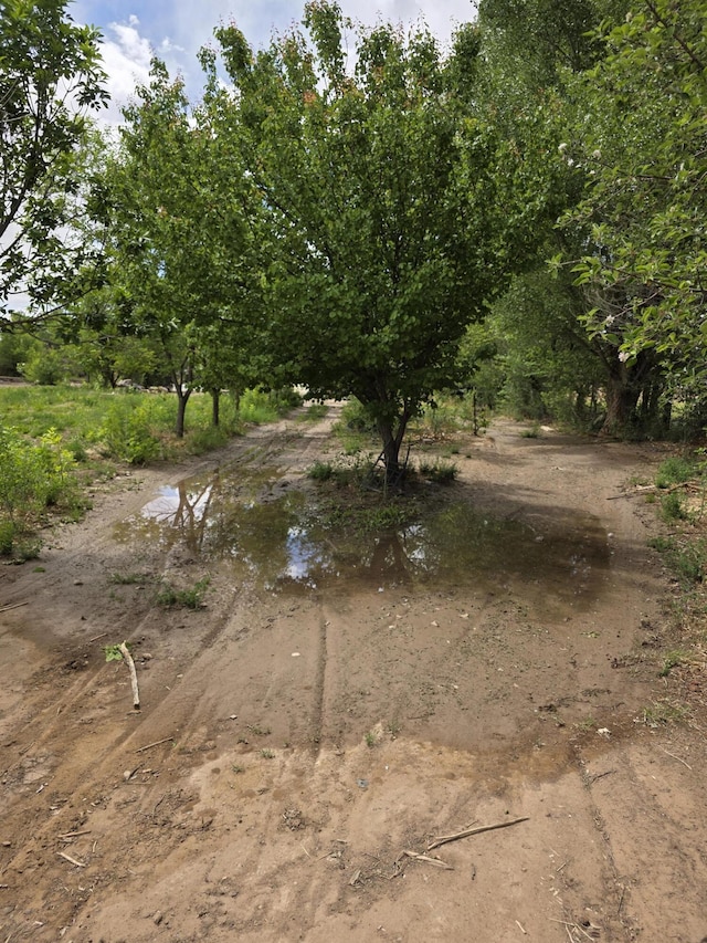 52 Ladera Rd, Belen, NM 87002