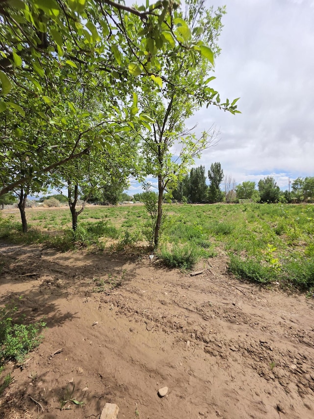 52 Ladera Rd, Belen, NM 87002