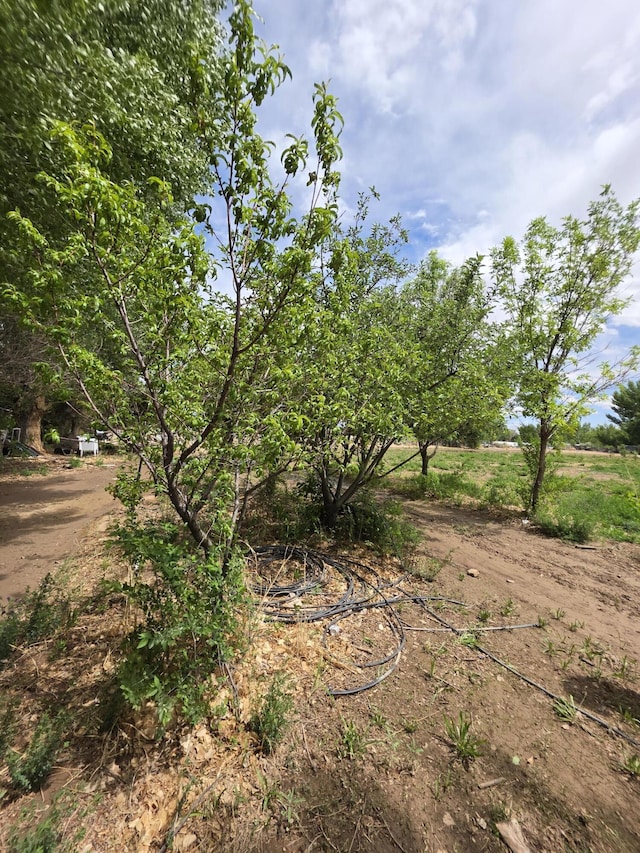 52 Ladera Rd, Belen, NM 87002