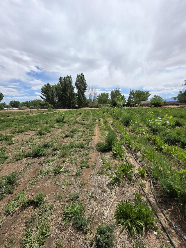 52 Ladera Rd, Belen, NM 87002