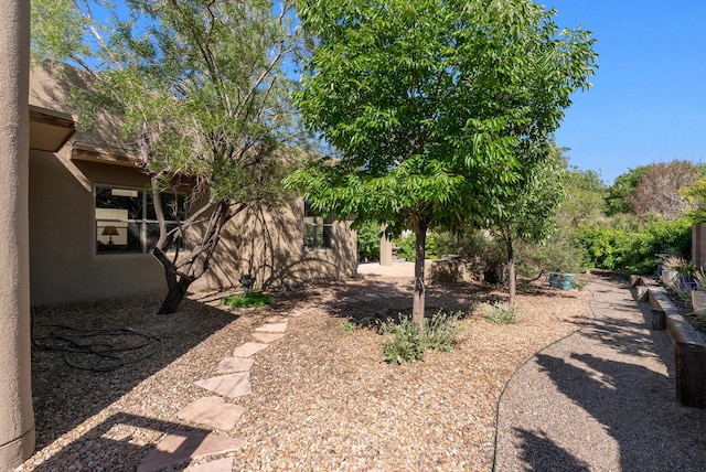 4612 Cactus Ave NW, Albuquerque, NM 87114 - view of yard