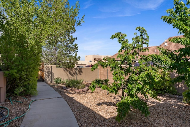 4612 Cactus Ave NW, Albuquerque, NM 87114 - view of yard