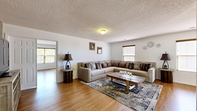3032 Cochiti St NE, Rio Rancho, NM 87144 - living area featuring light wood-type flooring, healthy amount of natural light, and a textured ceiling