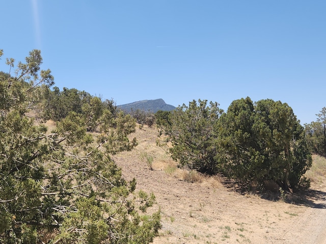 4 Charlotte Ln, Placitas, NM 87043