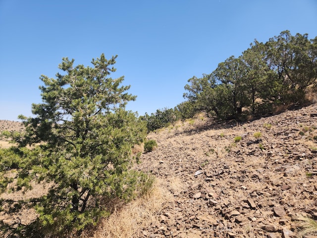 4 Charlotte Ln, Placitas, NM 87043