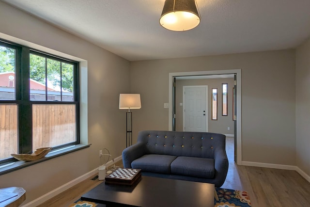 10031 Guadalupe Trl NW Unit A, Albuquerque, NM 87114 - living area featuring wood finished floors, baseboards, and a textured ceiling