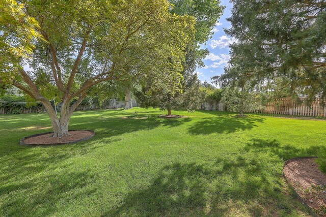 1122 Green Valley Rd NW, Los Ranchos, NM 87107 - photo 6