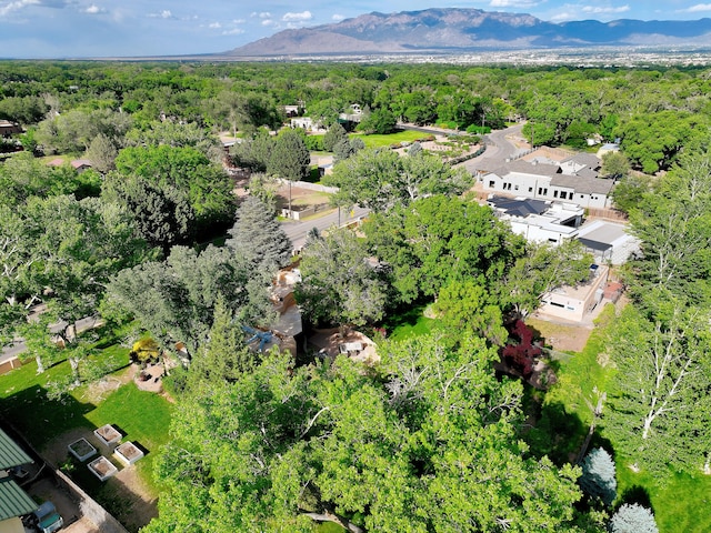 1122 Green Valley Rd NW, Los Ranchos, NM 87107 - photo 61