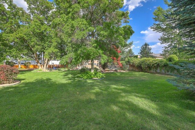 1122 Green Valley Rd NW, Los Ranchos, NM 87107 - photo 70