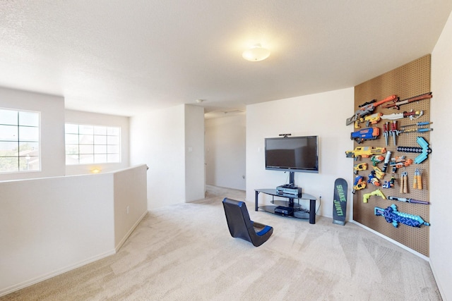 9731 Puccini Trl NW, Albuquerque, NM 87114 - view of carpeted living area