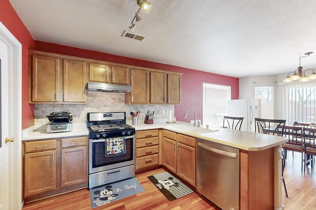 9731 Puccini Trl NW, Albuquerque, NM 87114 - kitchen with stainless steel appliances, under cabinet range hood, a sink, a peninsula, and light wood finished floors