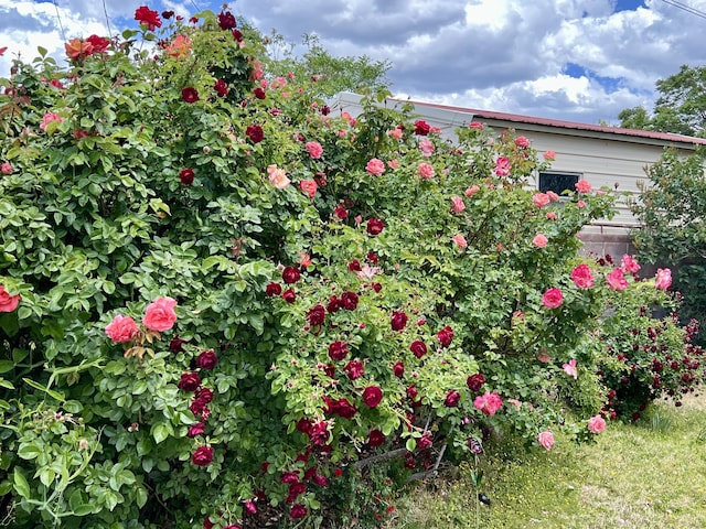 9722 Apache Ave NE, Albuquerque, NM 87112 - view of yard