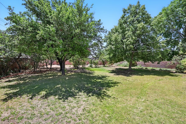 9722 Apache Ave NE, Albuquerque, NM 87112 - view of yard
