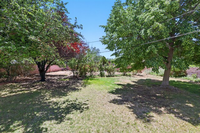 9722 Apache Ave NE, Albuquerque, NM 87112 - view of fenced backyard