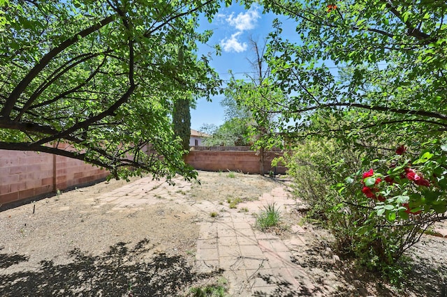9722 Apache Ave NE, Albuquerque, NM 87112 - view of yard
