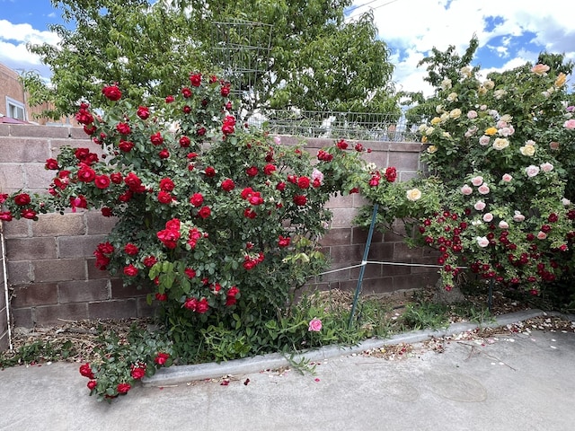 9722 Apache Ave NE, Albuquerque, NM 87112 - view of yard