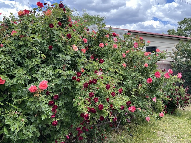 9722 Apache Ave NE, Albuquerque, NM 87112 - view of yard