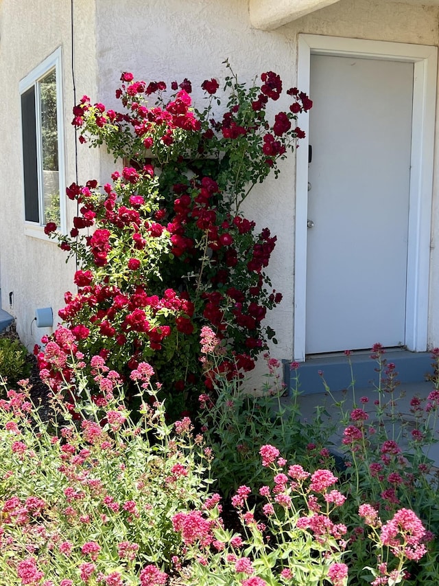 9722 Apache Ave NE, Albuquerque, NM 87112 - view of exterior entry with stucco siding