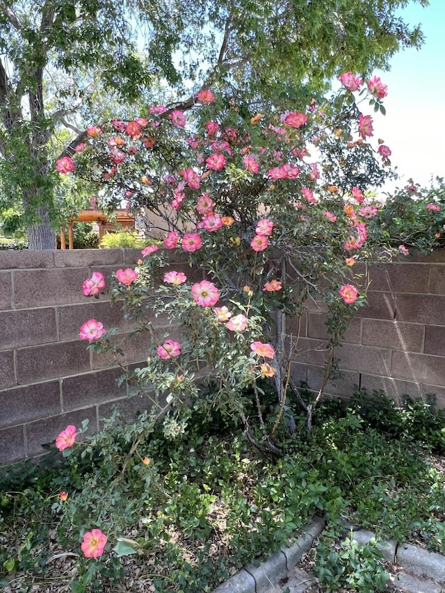 9722 Apache Ave NE, Albuquerque, NM 87112 - view of yard