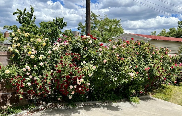 9722 Apache Ave NE, Albuquerque, NM 87112 - view of yard