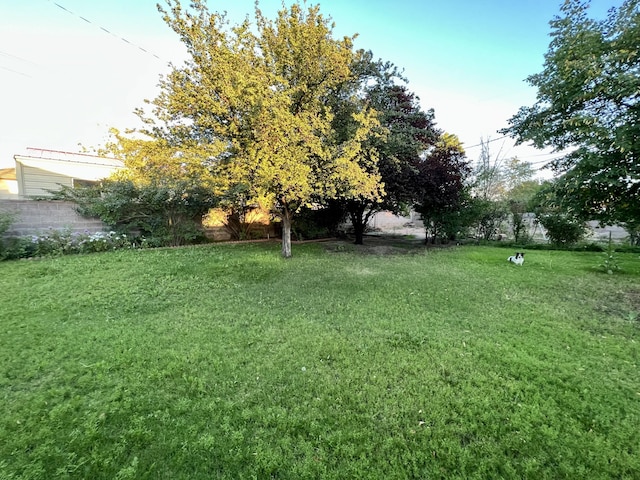 9722 Apache Ave NE, Albuquerque, NM 87112 - view of grassy yard
