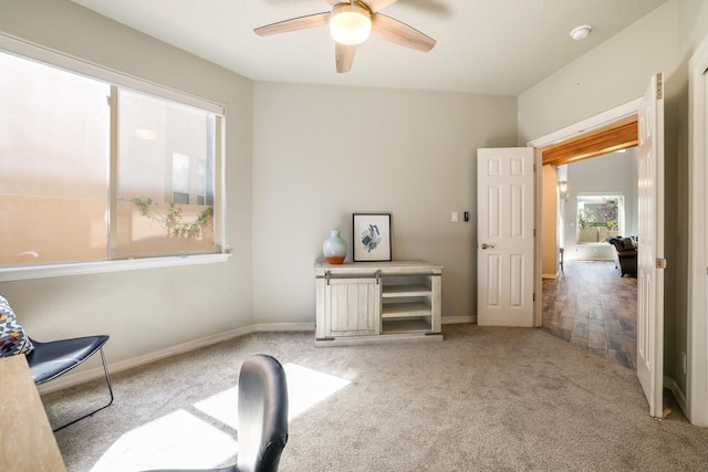 12616 Northern Sky Ave NE, Albuquerque, NM 87111 - photo 12