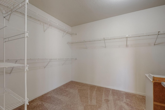 5124 Pyrite Pl NW, Albuquerque, NM 87114 - walk in closet with carpet