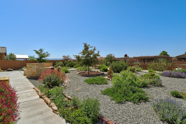 6240 Redroot St, Albuquerque, NM 87120 - view of fenced backyard