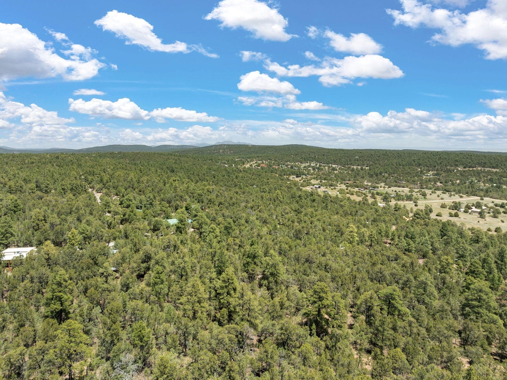 51 Bobolink Ln, Tijeras, NM 87059 - photo 1