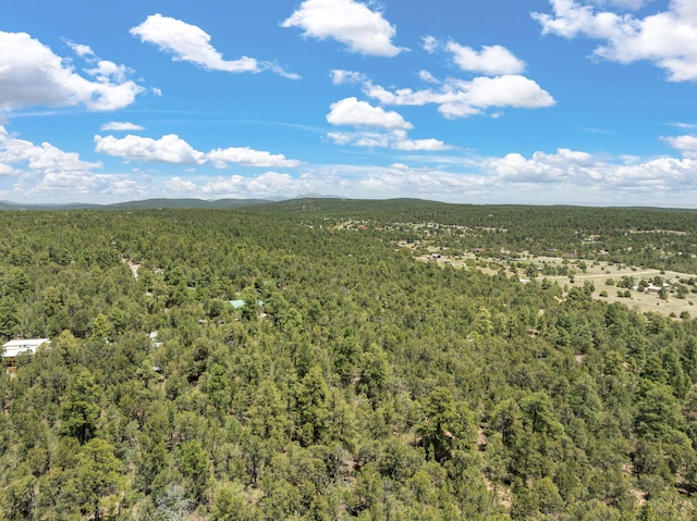 51 Bobolink Ln, Tijeras, NM 87059 - photo 1