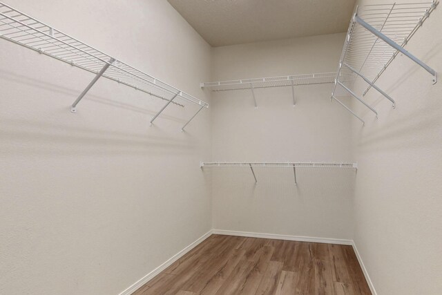 9624 Basalt Peak Dr NW, Albuquerque, NM 87114 - walk in closet with wood finished floors