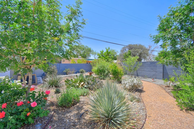 10008 Propps St NE, Albuquerque, NM 87112 - view of fenced backyard