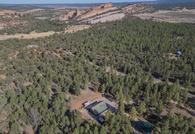 31 Smokey Bear Rd, Ramah, NM 87321 - aerial overview of property's location featuring a forest and mountains
