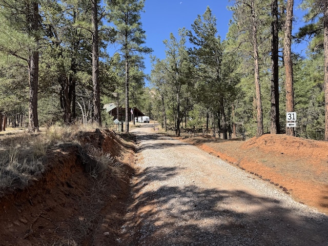 31 Smokey Bear Rd, Ramah, NM 87321 - view of dirt / gravel driveway