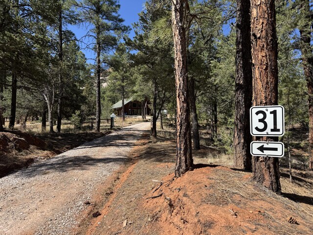 31 Smokey Bear Rd, Ramah, NM 87321 - view of dirt / gravel driveway