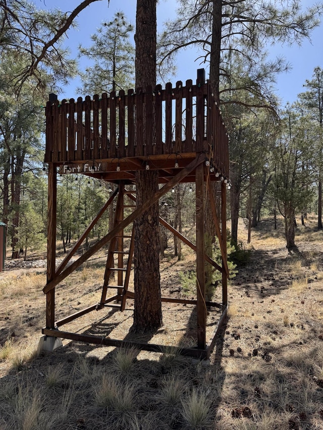 31 Smokey Bear Rd, Ramah, NM 87321 - view of yard