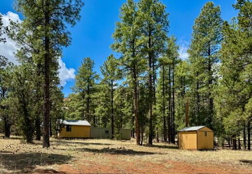 34 Halcon Rd, Ramah, NM 87321 - view of yard featuring a wooded view