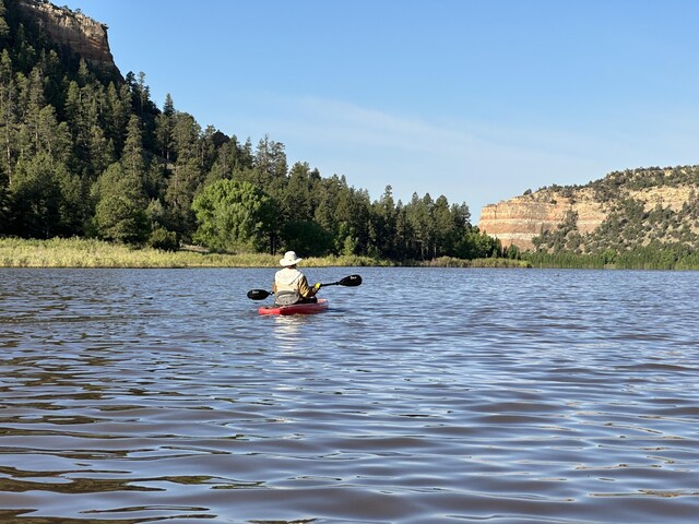 34 Halcon Rd, Ramah, NM 87321 - water view featuring a heavily wooded area