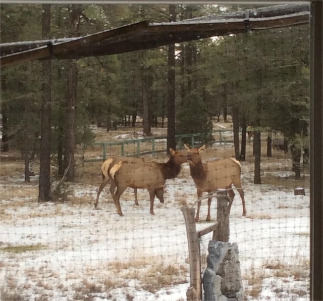 34 Halcon Rd, Ramah, NM 87321 - view of local wilderness