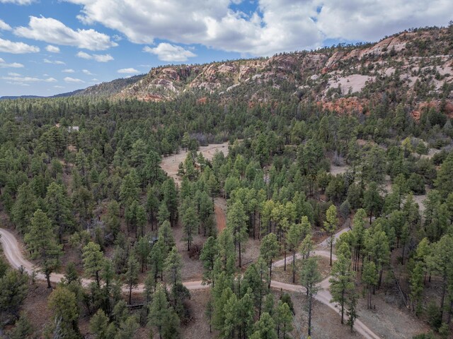 34 Halcon Rd, Ramah, NM 87321 - view of mountain background with a heavily wooded area