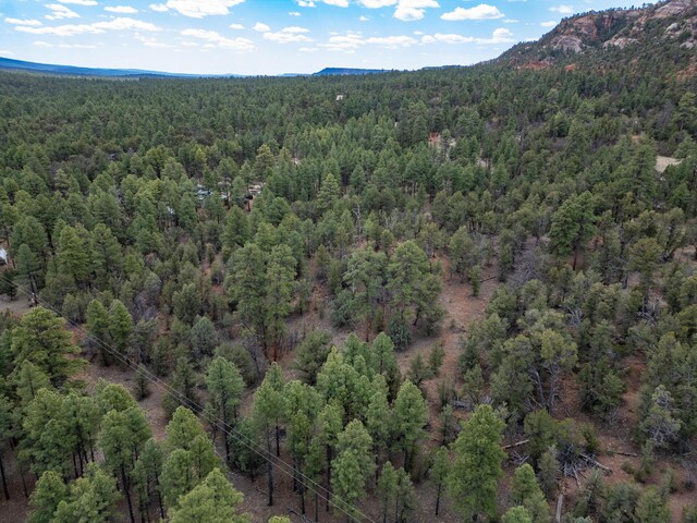 34 Halcon Rd, Ramah, NM 87321 - drone / aerial view of a heavily wooded area