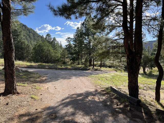 34 Halcon Rd, Ramah, NM 87321 - view of street featuring a forest view