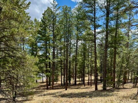 34 Halcon Rd, Ramah, NM 87321 - view of nature