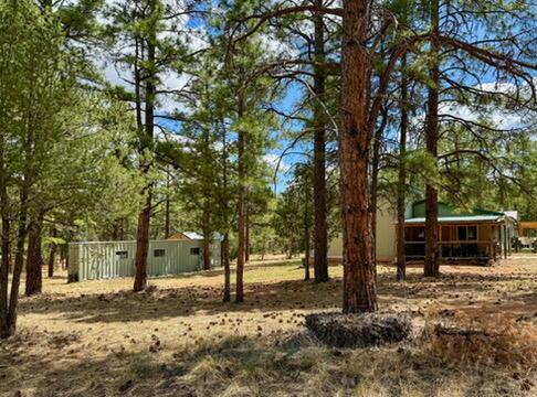 34 Halcon Rd, Ramah, NM 87321 - view of yard