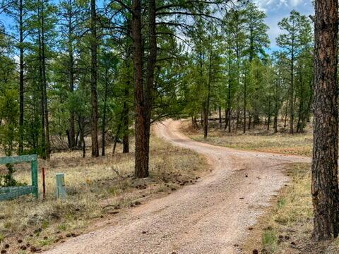 34 Halcon Rd, Ramah, NM 87321 - view of dirt / gravel road