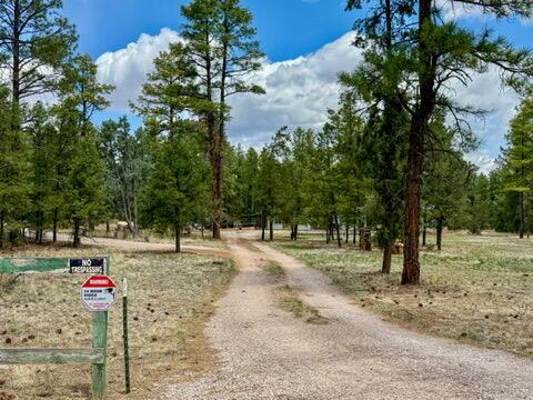 34 Halcon Rd, Ramah, NM 87321 - view of dirt / gravel driveway