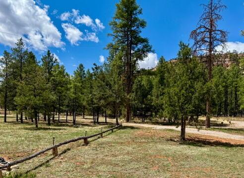 34 Halcon Rd, Ramah, NM 87321 - view of green lawn